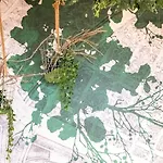 Lägenhet Guestready - Autumn